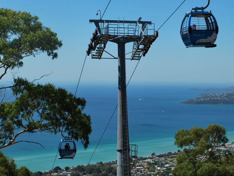 Arthurs Seat Eagle - Accommodation Main Beach 2