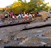 Australian Age of Dinosaurs - Accommodation Main Beach