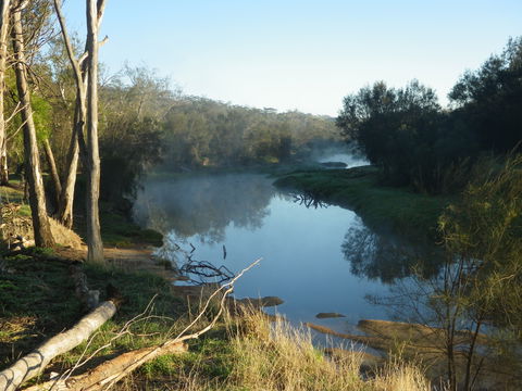 Bilya Walk Track - Accommodation Main Beach 0