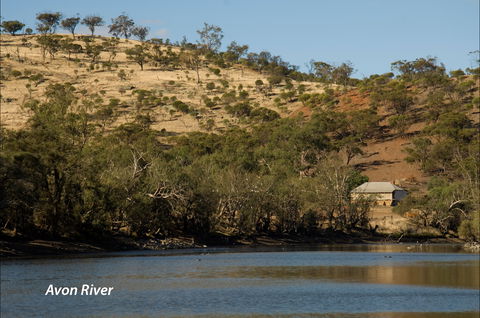 Bilya Walk Track - Accommodation Main Beach 2