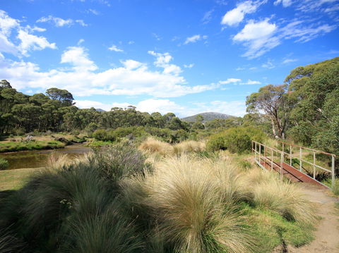 Bullocks Walking Track - Accommodation Main Beach 0
