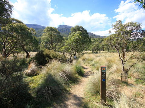 Bullocks Walking Track - Accommodation Main Beach 2