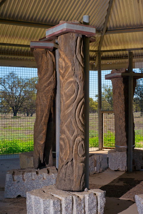 Collymongle Carved Trees - Accommodation Main Beach 1
