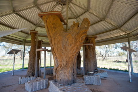 Collymongle Carved Trees - Accommodation Main Beach 2