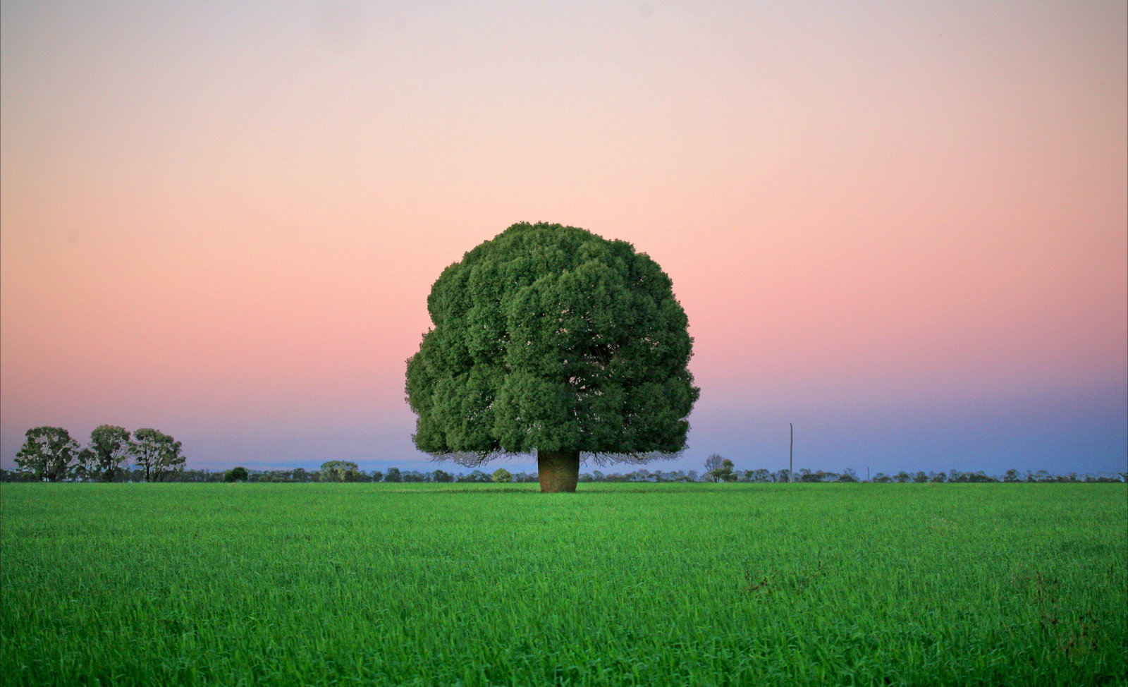 Condamine QLD Accommodation Main Beach