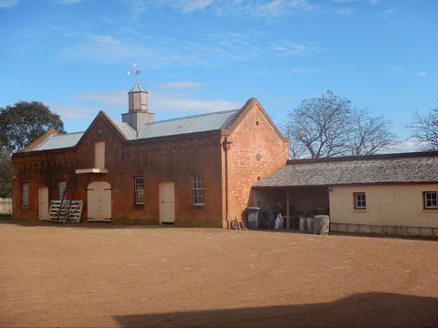 Cooma Cottage - Accommodation Main Beach 1