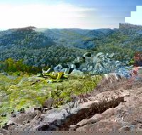 Dubbo Gully Loop Trail - Accommodation Main Beach
