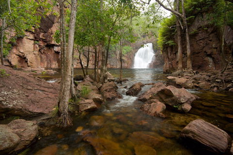 Florence Falls - Accommodation Main Beach 0