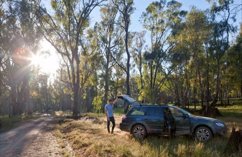 Forest Drive, Murrumbidgee Valley National Park - Accommodation Main Beach 0
