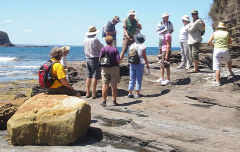 Gondwana Coast Fossil Walk - Accommodation Main Beach 0