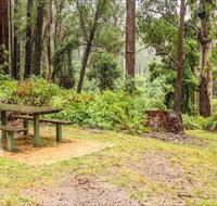 Goodenia Rainforest picnic area - Accommodation Main Beach