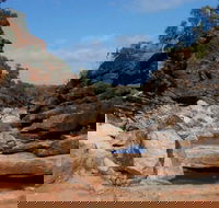 Homestead Gorge trail - Accommodation Main Beach