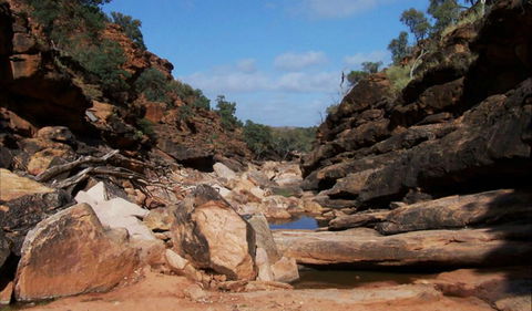 Homestead Gorge Trail - Accommodation Main Beach 0