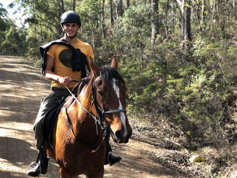 Horse Riding Tasmania - Accommodation Main Beach 2