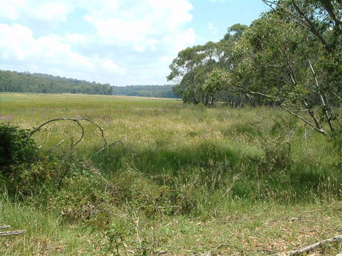 Hume And Hovell Walking Track - Accommodation Main Beach 2