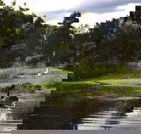 Hunter Wetlands Centre - Accommodation Main Beach