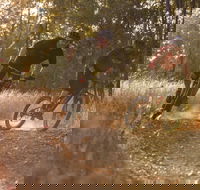 Kholo Gardens Trails - Accommodation Main Beach