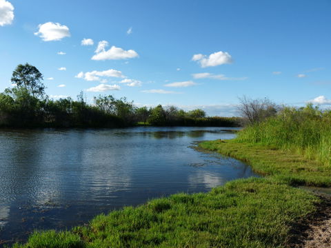 Lagoon Creek - Accommodation Main Beach 2