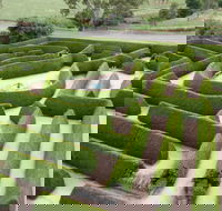 Mintaro Maze - Accommodation Main Beach