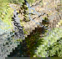 Morans Falls track Lamington National Park - Accommodation Main Beach