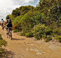 Mountain Biking Trails - Accommodation Main Beach