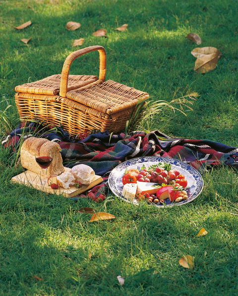 Nature And Foodies Trail - Accommodation Main Beach 2