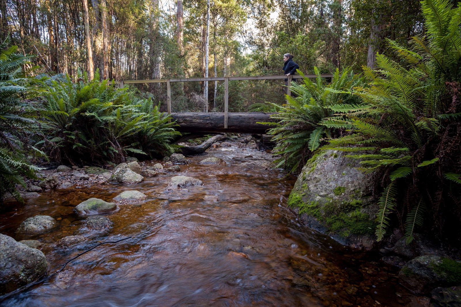Gowrie Park TAS Accommodation Main Beach
