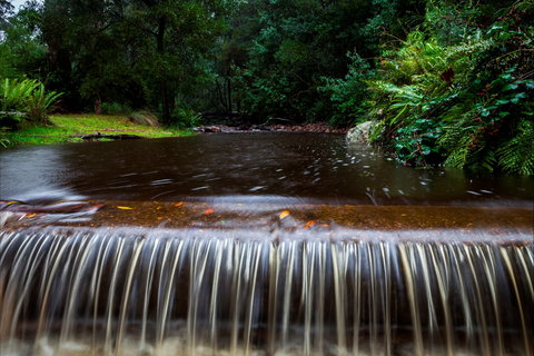 O'Neills Creek Picnic Reserve - Accommodation Main Beach 1