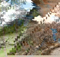 Pilliga National Park - Accommodation Main Beach