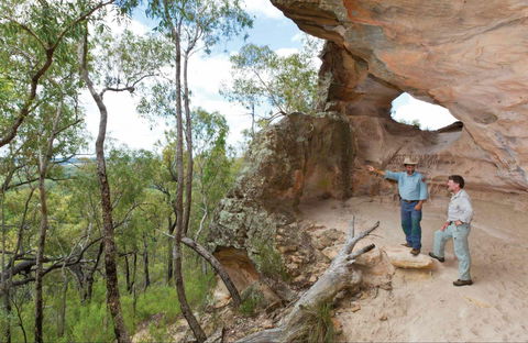 Pilliga National Park - Accommodation Main Beach 0