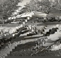 Pioneer Park - Accommodation Main Beach