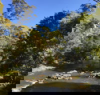 Pipers River Board Walk - Accommodation Main Beach