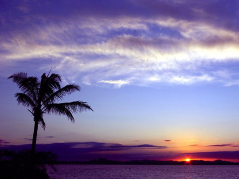 Quoin Island Retreat And Turtle Rehabilitation Centre - Accommodation Main Beach 0