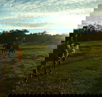 Scenic NSW Horse Riding Centre - Accommodation Main Beach