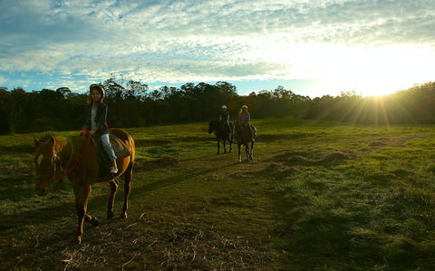 Scenic NSW Horse Riding Centre - Accommodation Main Beach 0