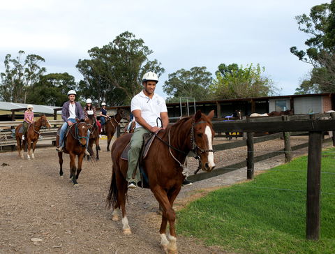 Scenic NSW Horse Riding Centre - Accommodation Main Beach 1