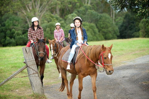 Scenic NSW Horse Riding Centre - Accommodation Main Beach 2