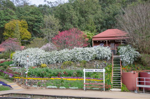 Spring Bluff Railway Station - Accommodation Main Beach 1