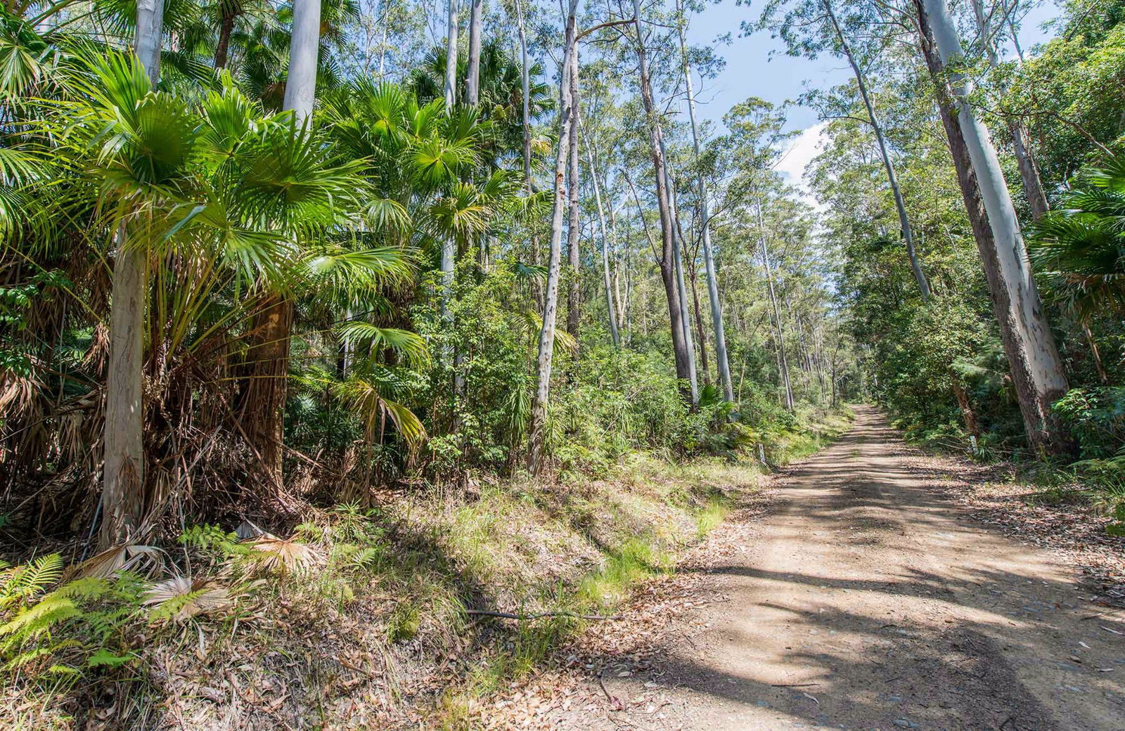 Coomba Bay NSW Accommodation Main Beach
