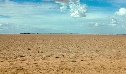 Toorale National Park - Accommodation Main Beach 0