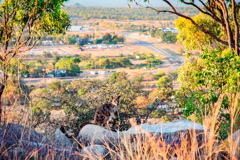 Towers Hill Lookout And Amphitheatre - Accommodation Main Beach 2