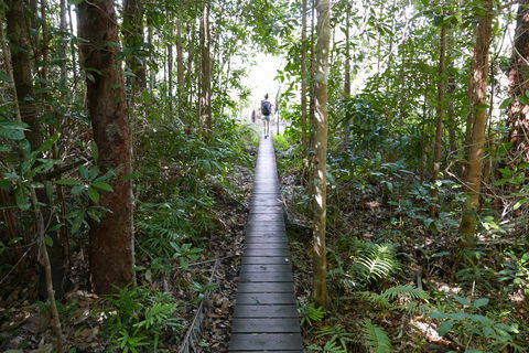 Walker Creek - Accommodation Main Beach 0