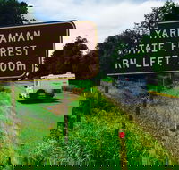 Yarraman - Accommodation Main Beach
