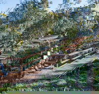 Falcon Falls walking track - Accommodation Main Beach