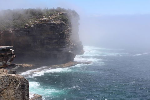 Iconic Sights Of Sydney Tour With FREE Photography Package - Accommodation Main Beach 3