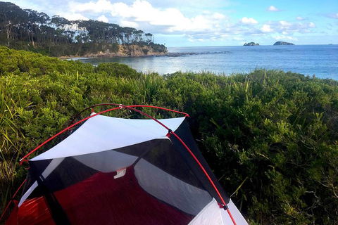 Batemans Bay Overnight Kayak Camping Tour - All Inclusive - Accommodation Main Beach 0