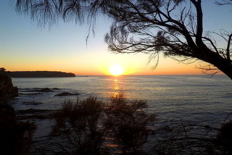 Batemans Bay Overnight Kayak Camping Tour - All Inclusive - Accommodation Main Beach 1