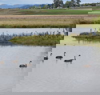 Beardy Waters Dam and Woodlands - Accommodation Main Beach