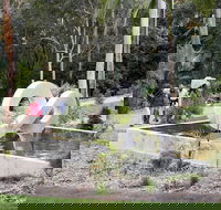 Maroochy Regional Bushland Botanic Garden - Accommodation Main Beach