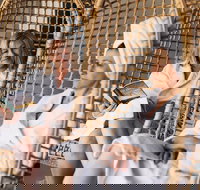 The Spa Beechworth - Accommodation Main Beach